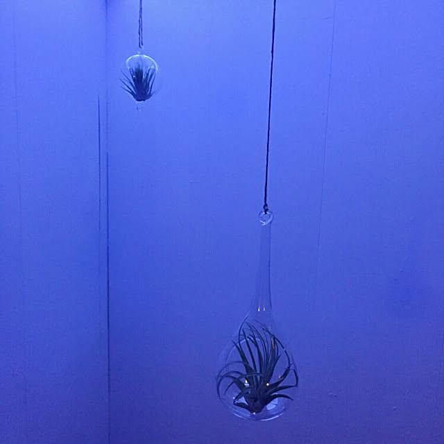 4lifeさんの実例写真