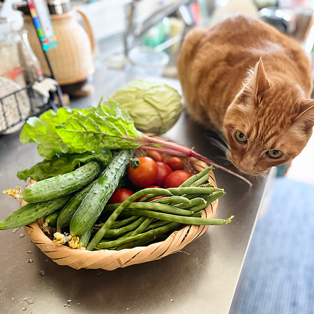 Maruさんの実例写真