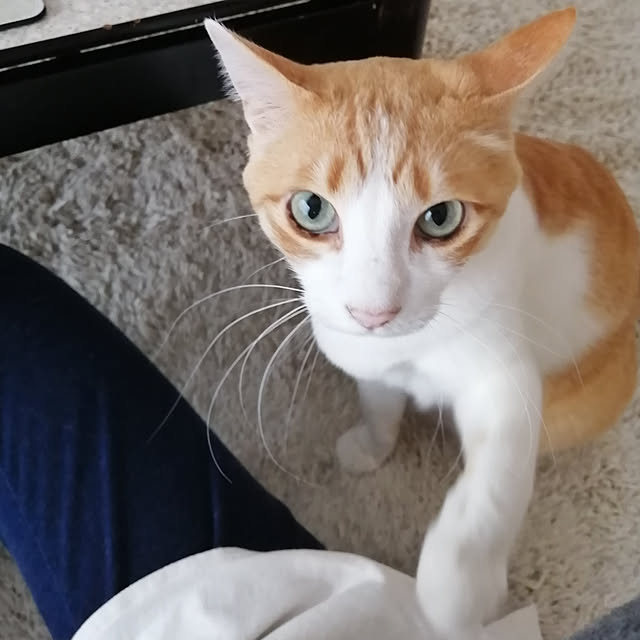 Kinanさんの実例写真