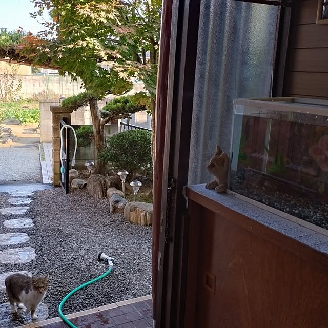 NOAHさんの実例写真