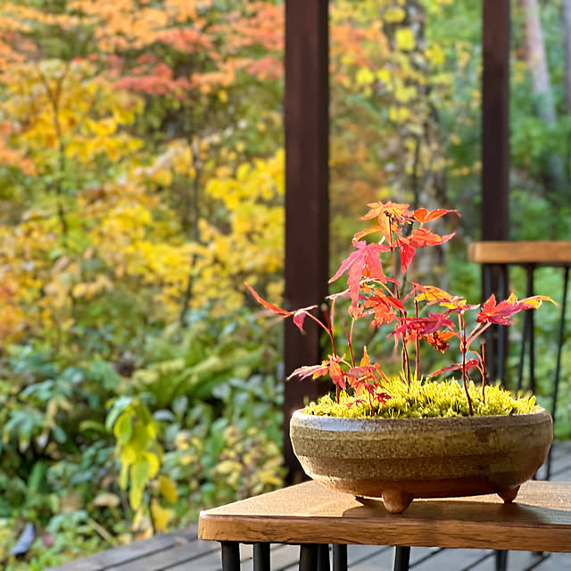 Kikko.さんの実例写真