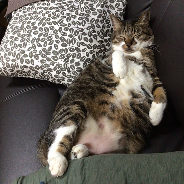 houenさんの実例写真