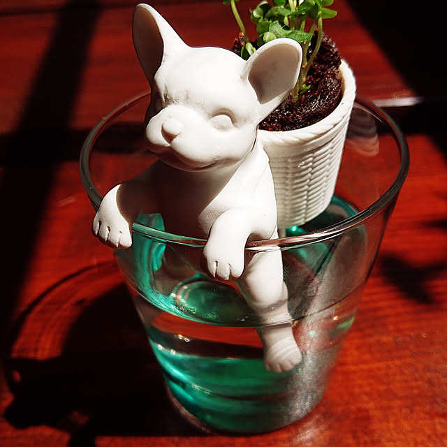 キッチン/いぬのいる暮らし/franfranc/季節もの/#花のある暮らしのインテリア実例 - 2018-06-27 09:46:48