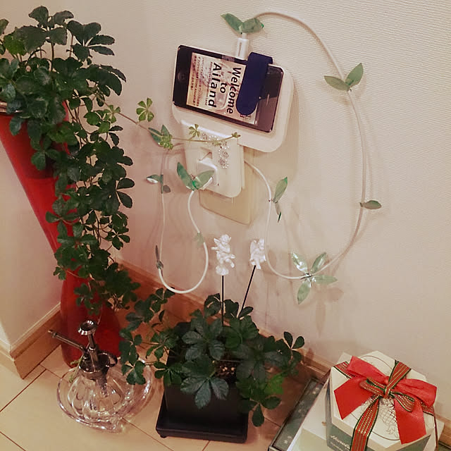 Suucoさんの実例写真