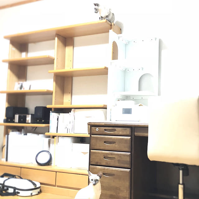 mujinekoさんの実例写真