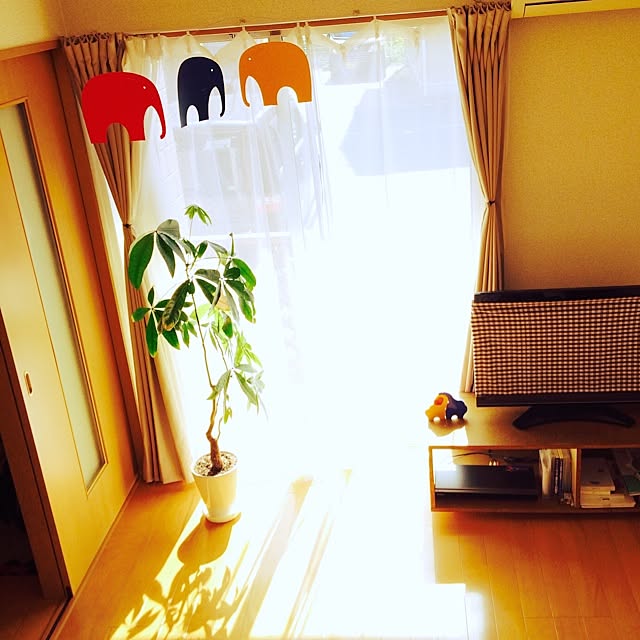 viviさんの実例写真