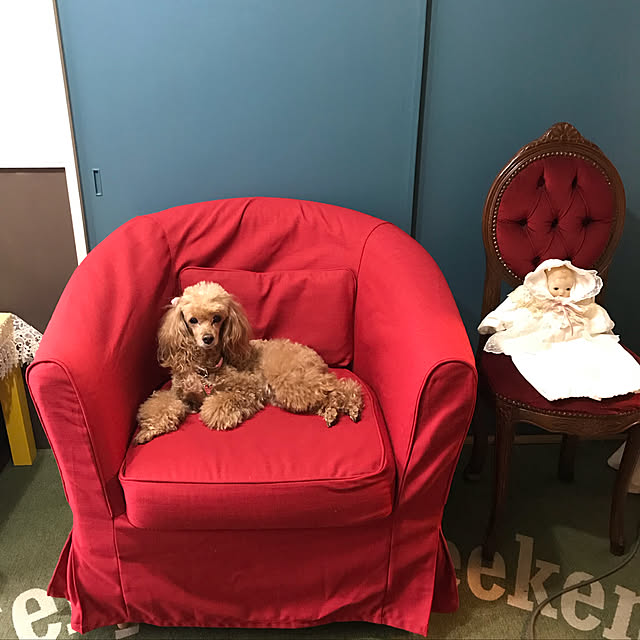 machakoさんの実例写真