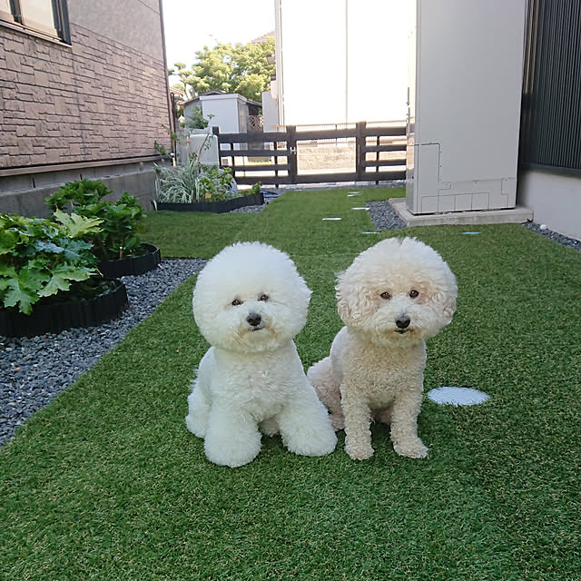 tomotomoさんの実例写真