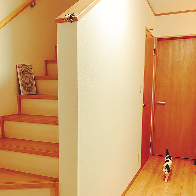 azu2213さんの実例写真
