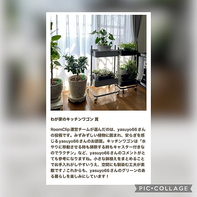 yasuyo66さんの実例写真
