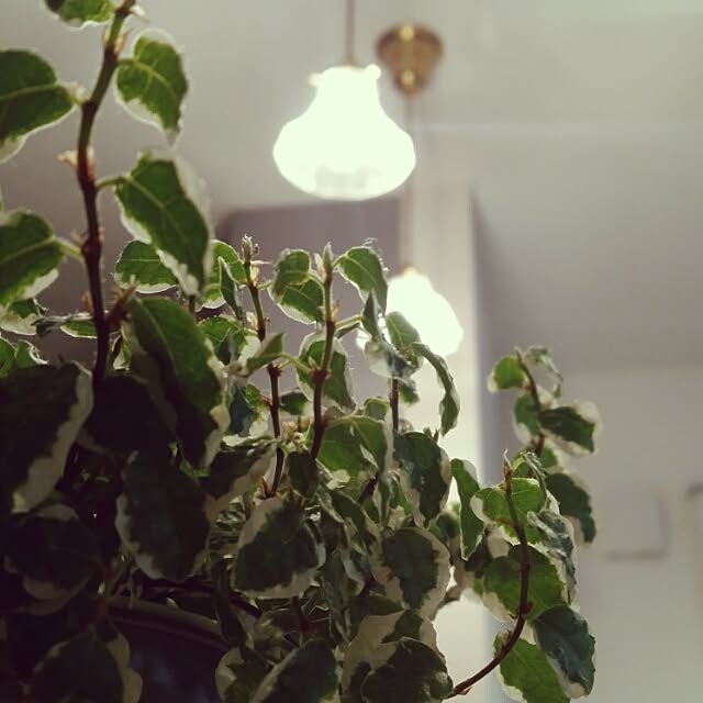 naohito719さんの実例写真