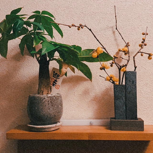 SAさんの実例写真
