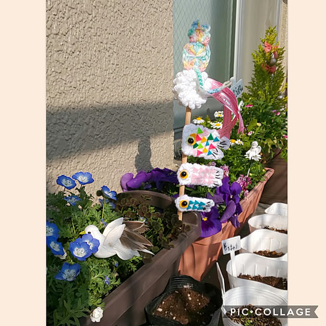 toramamaさんの実例写真