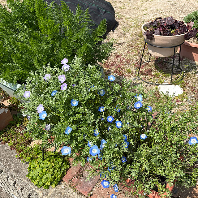 ritsukoさんの部屋