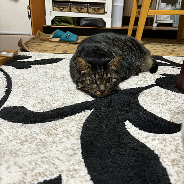 momocchiさんの部屋