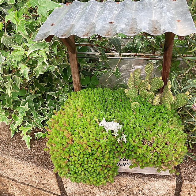 shoさんの実例写真