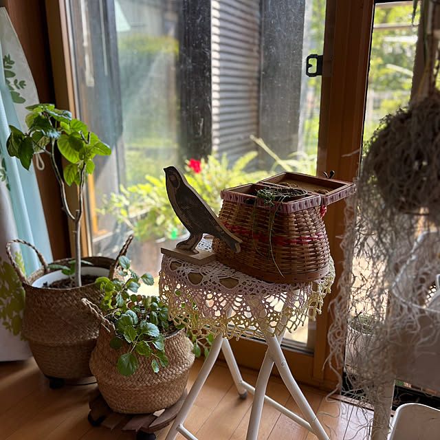 CoCo0617さんの部屋