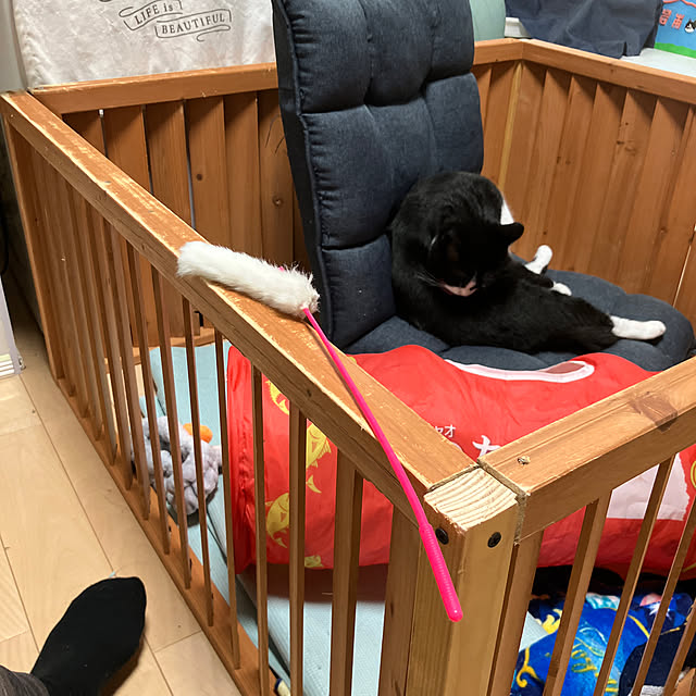 nekoさんの実例写真