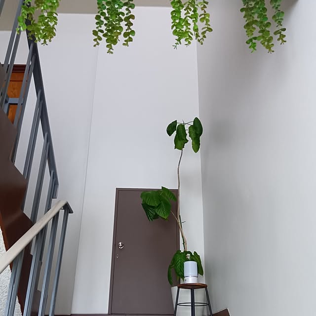 mikeさんの実例写真