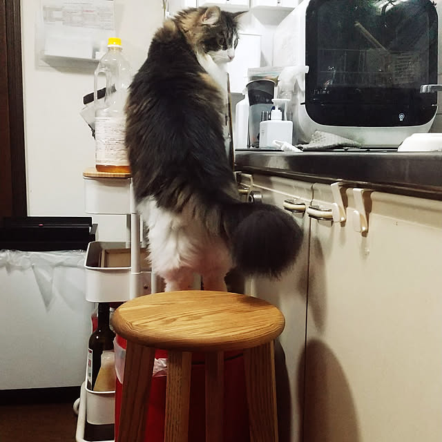 Yさんの実例写真