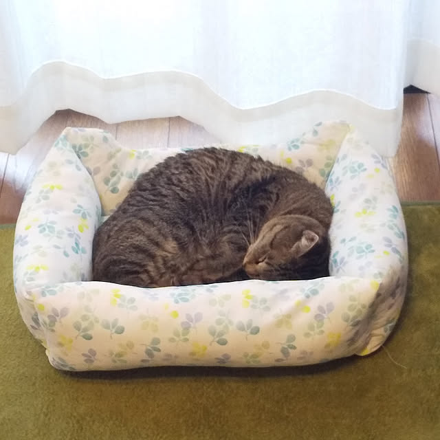 hatsuyukiさんの実例写真
