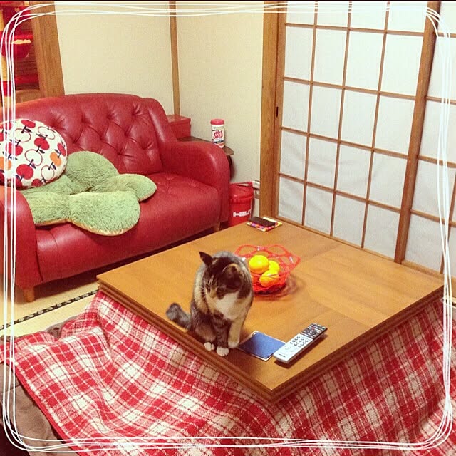 MIYAZOさんの実例写真