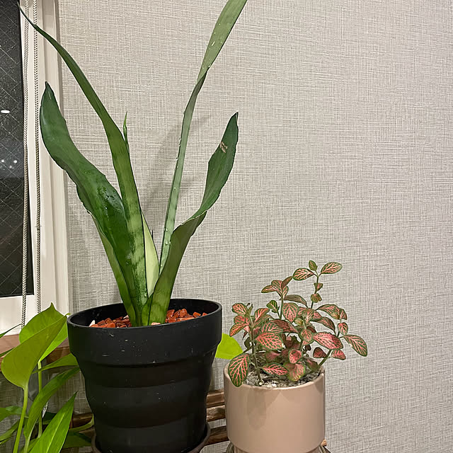 ikuzakさんの部屋