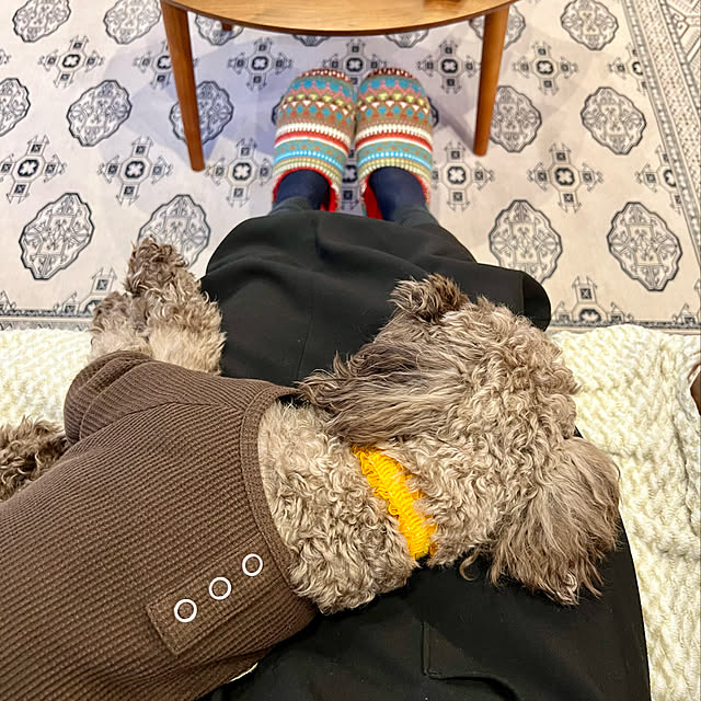 sasaeriさんの実例写真