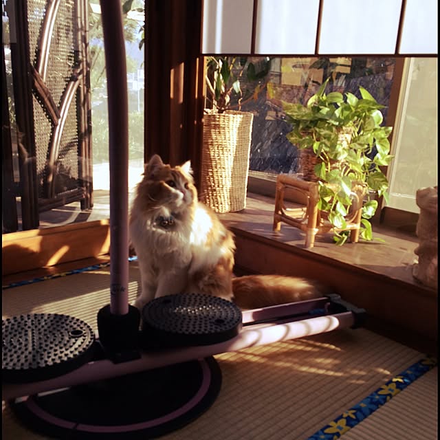 mikanさんの実例写真
