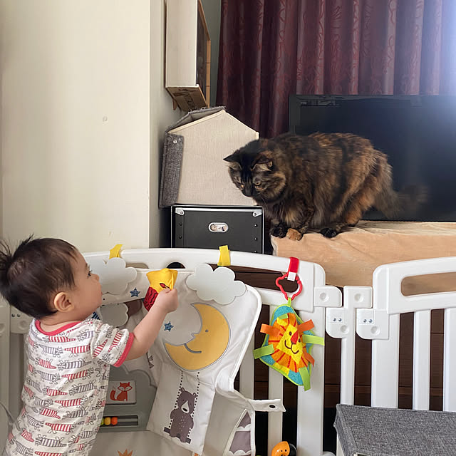 mikomaruさんの実例写真