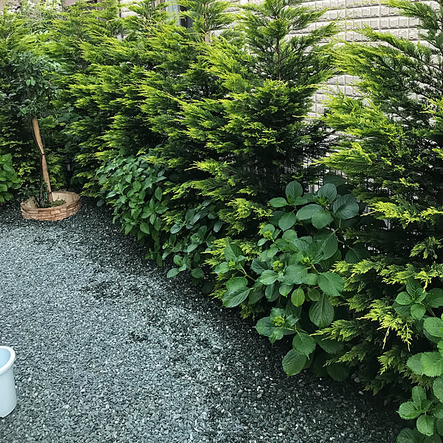 ruzemiさんの実例写真
