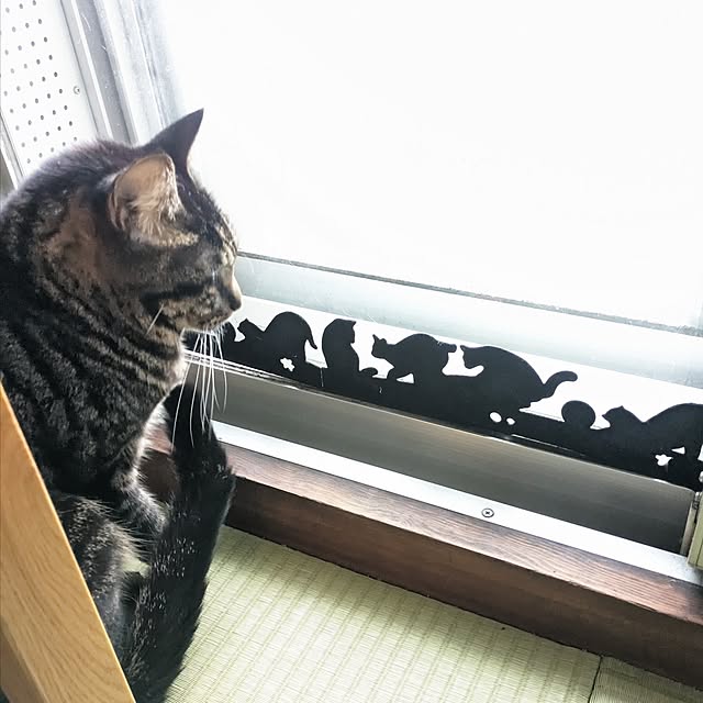 hihaさんの部屋