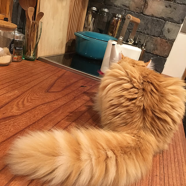 maruさんの実例写真