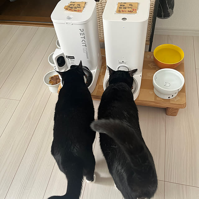 chatnoirさんの実例写真