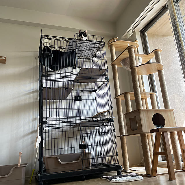 ayapokoさんの実例写真