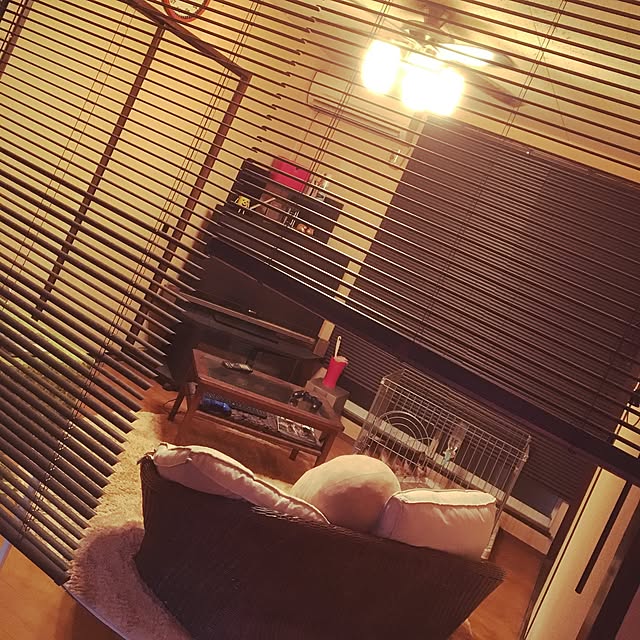 yasuさんの実例写真