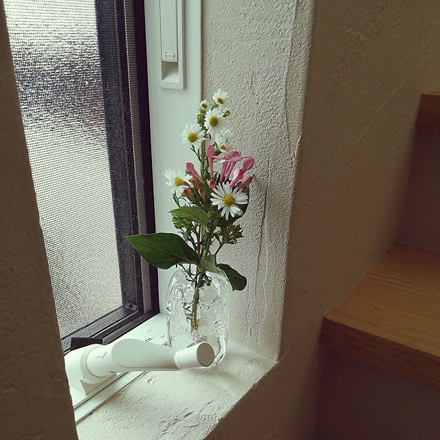 部屋全体/ナチュラル/観葉植物/雑貨のインテリア実例 - 2020-11-18 08:23:17