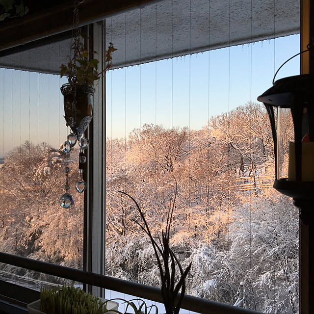 kirara1027さんの実例写真