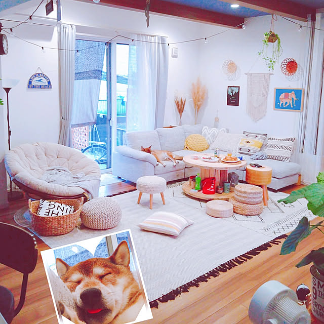 Soraさんの実例写真