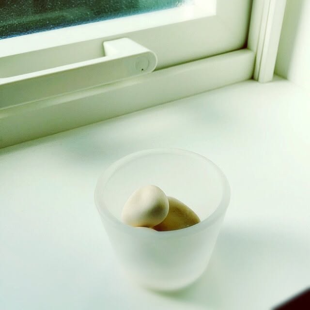 ベッド周り/Muji/無印良品/窓辺のインテリア/窓辺...などのインテリア実例 - 2015-12-16 08:44:31