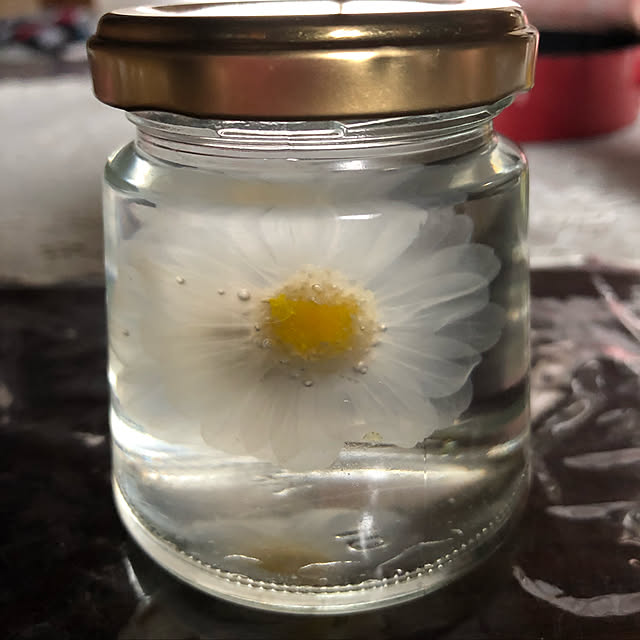Nanohaさんの実例写真