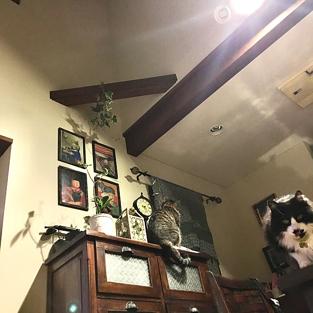 shigimiさんの実例写真