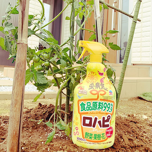 aichinさんの実例写真