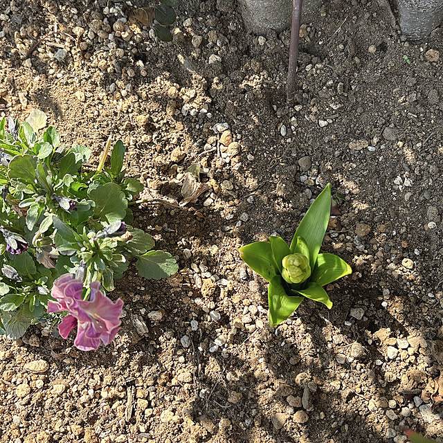 miyu39さんの部屋