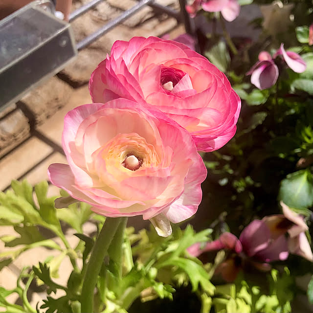 tomoさんの実例写真