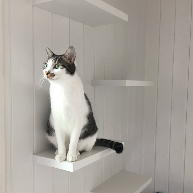 yuchiさんの実例写真