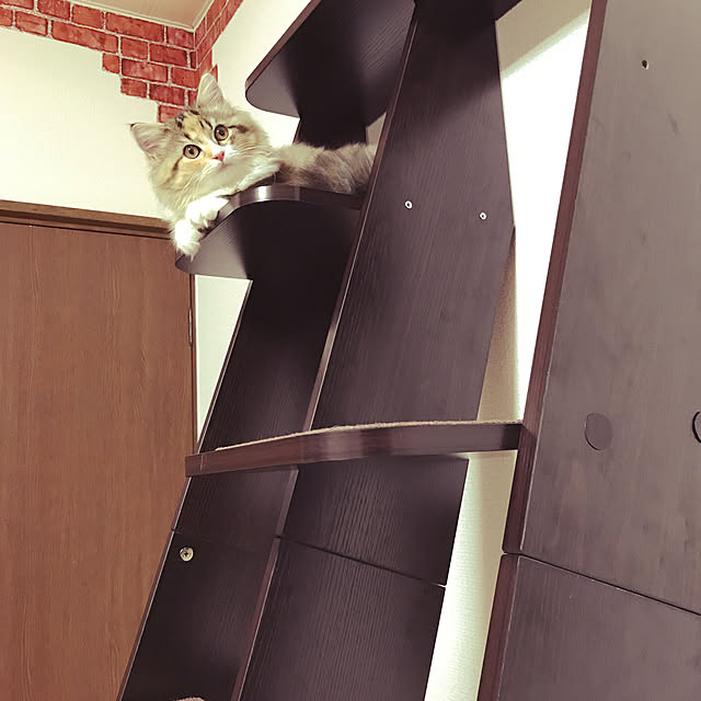 akさんの実例写真