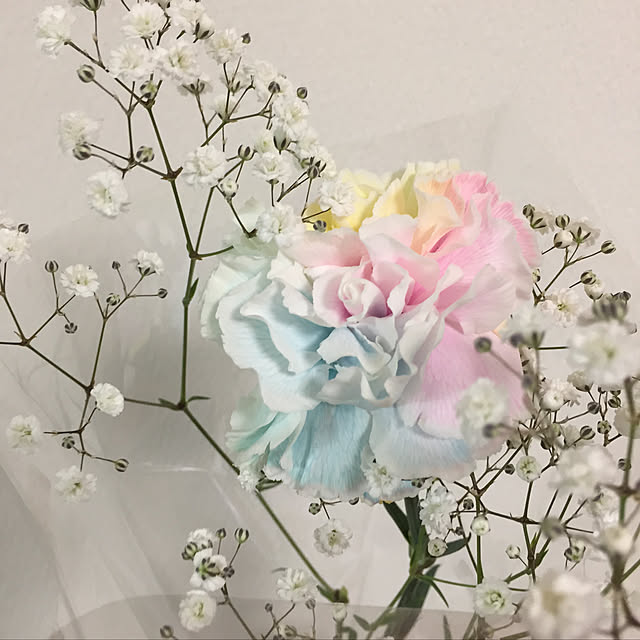 michiさんの実例写真