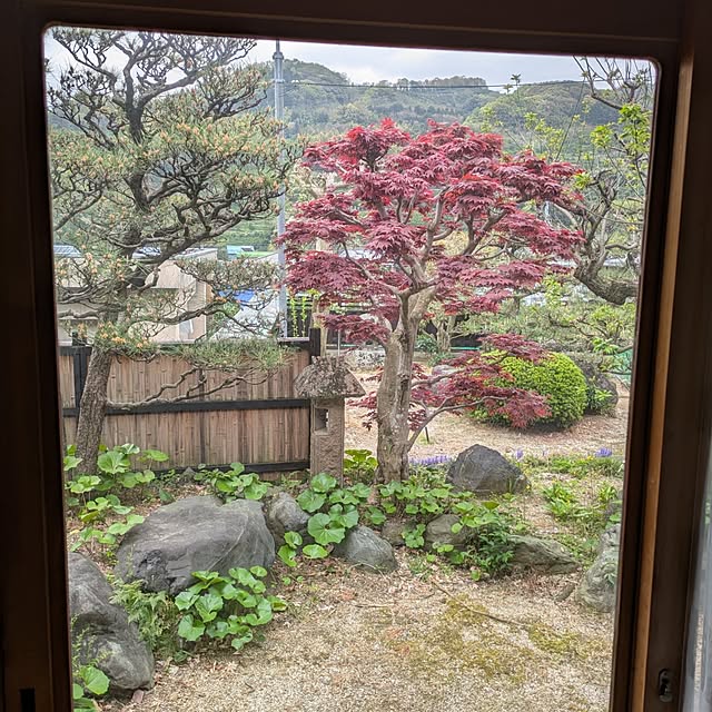 kuririnmamaさんの実例写真