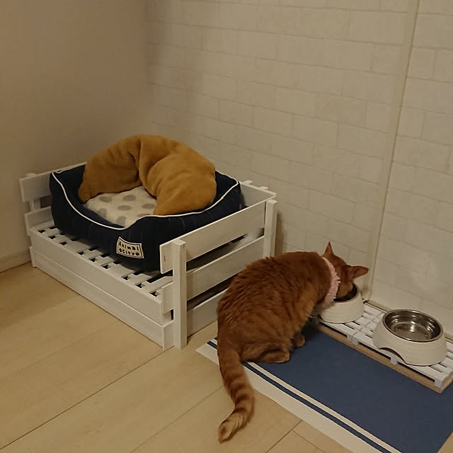 taka-kiさんの実例写真